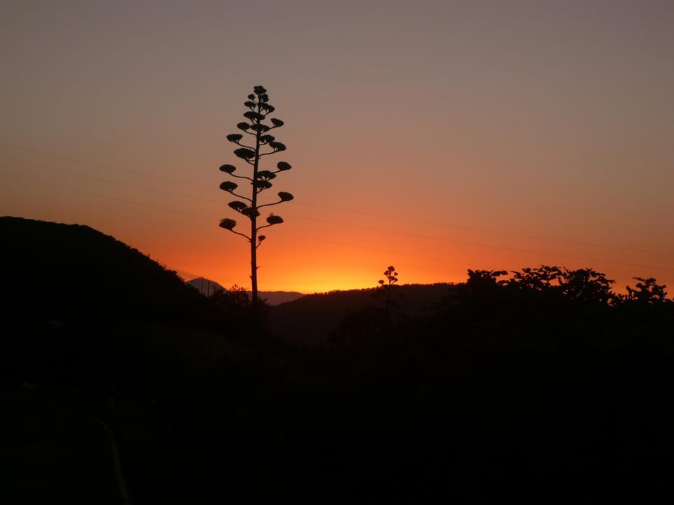 Natural landscape, Hiking, Sunrise, Sunset
