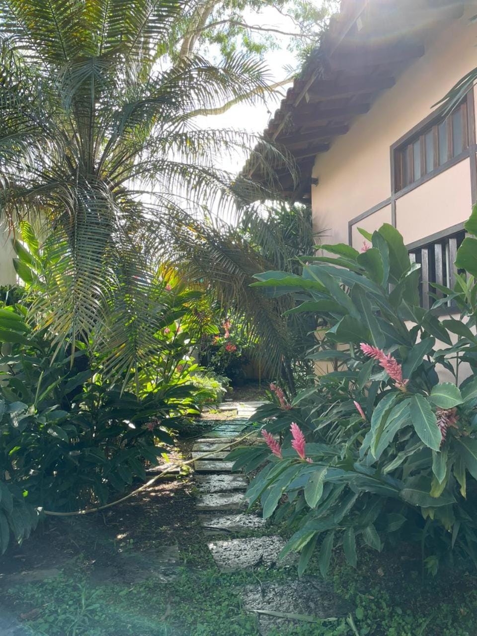 Property building, Day, Garden, Garden view