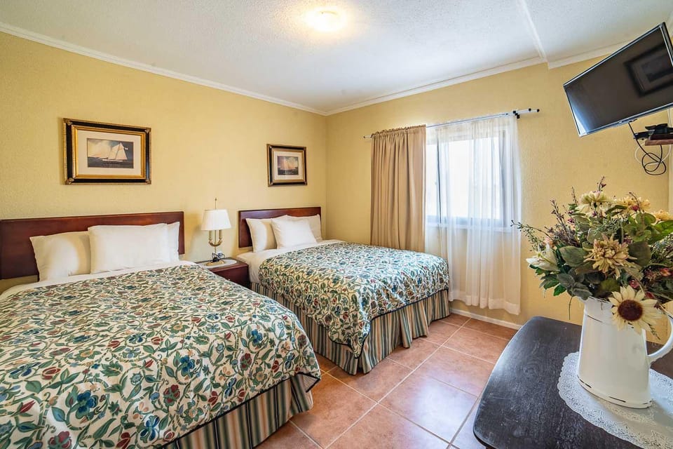 Bed, TV and multimedia