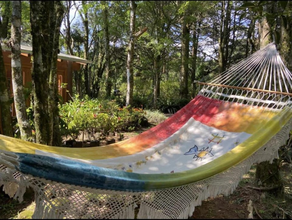 Refúgio da natureza House in State of Rio Grande do Sul
