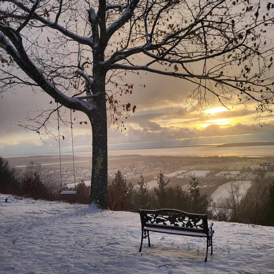 Natural landscape, Winter, Garden