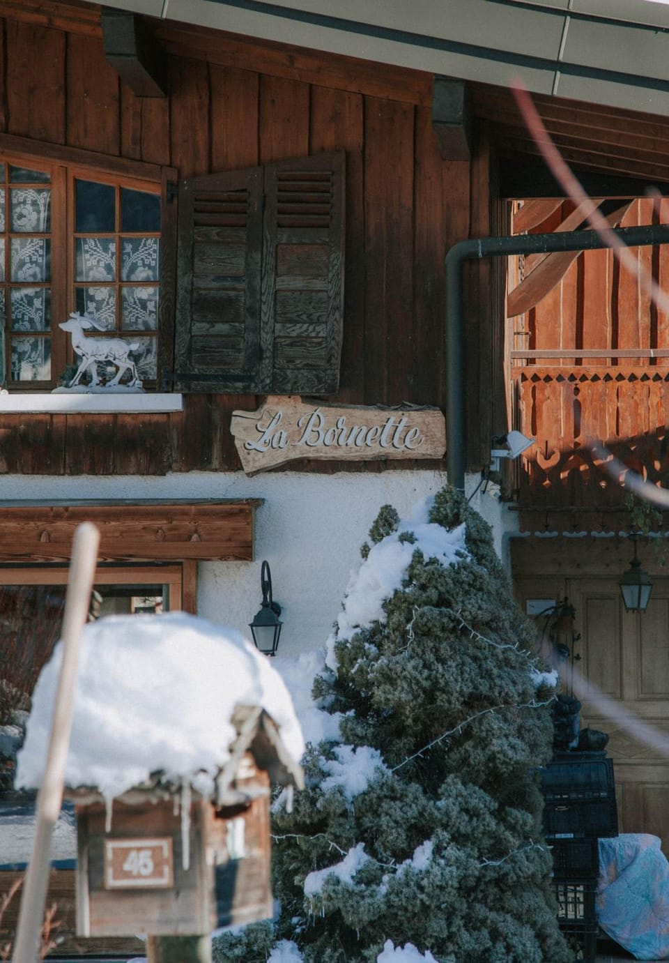 Winter