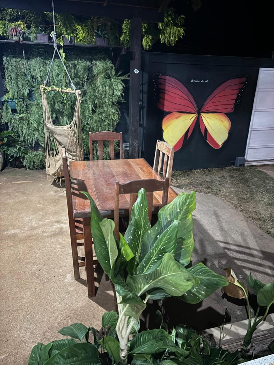 Garden view