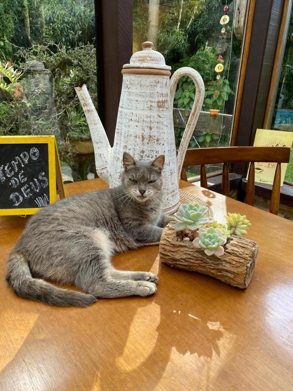 Havilá Arara Azul Bed and Breakfast in State of Rio de Janeiro