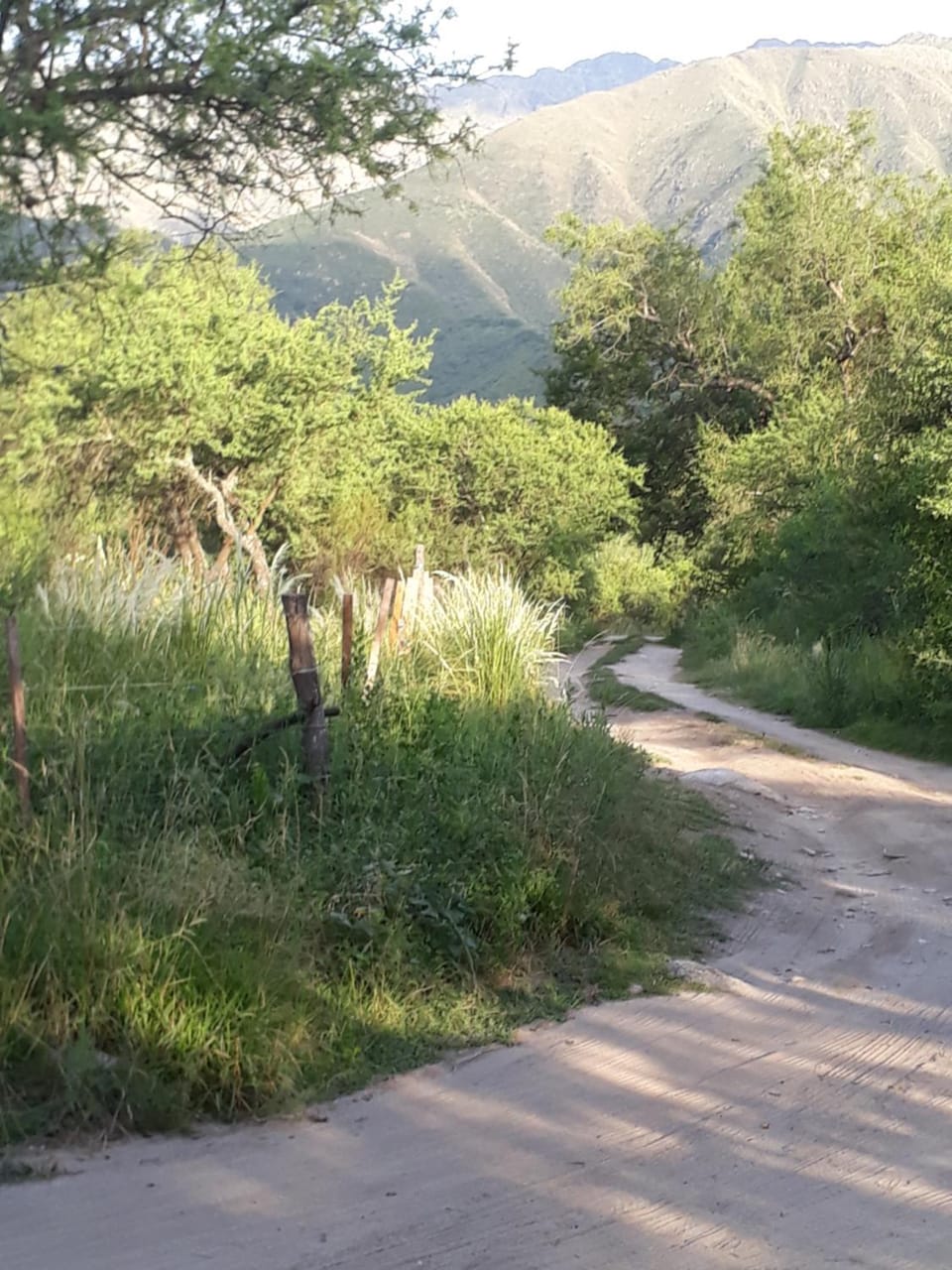 Neighbourhood, Natural landscape, Hiking, Mountain view