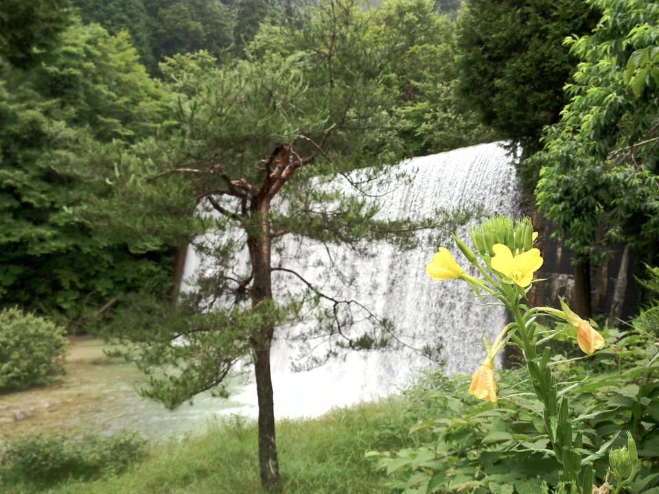 River view
