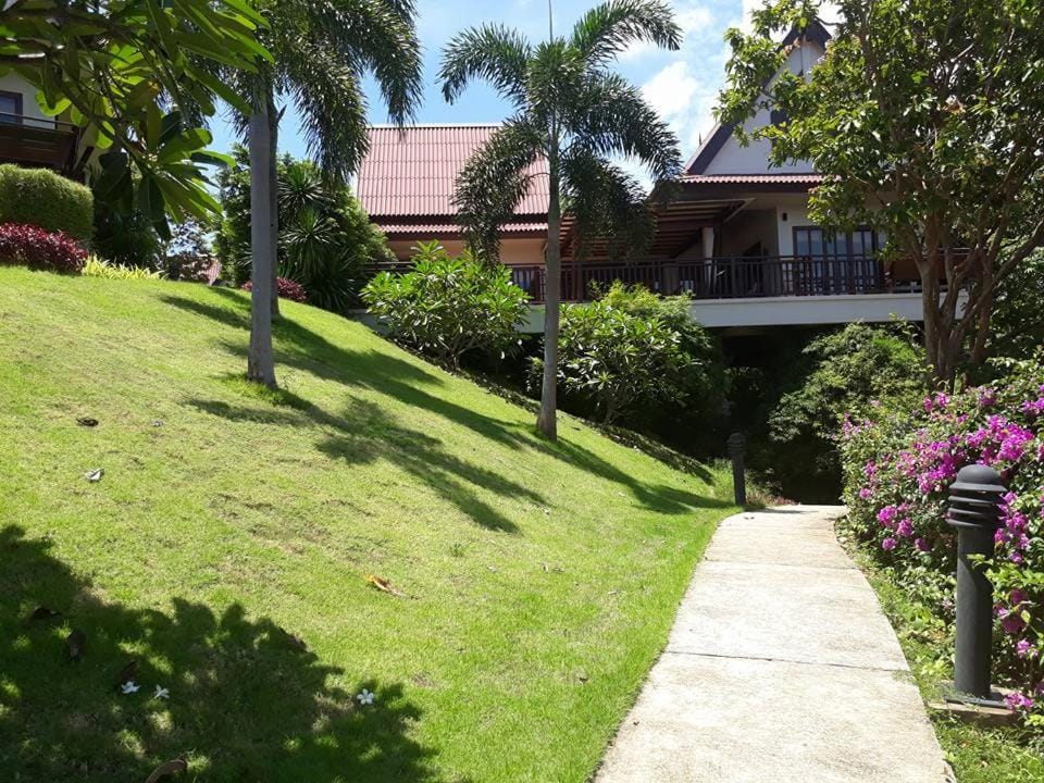 Garden view