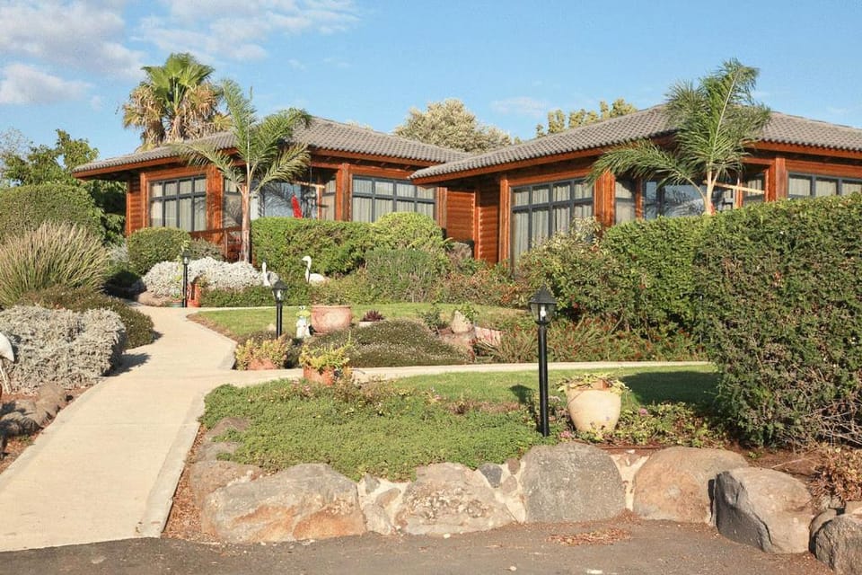 Property building, Day, Garden