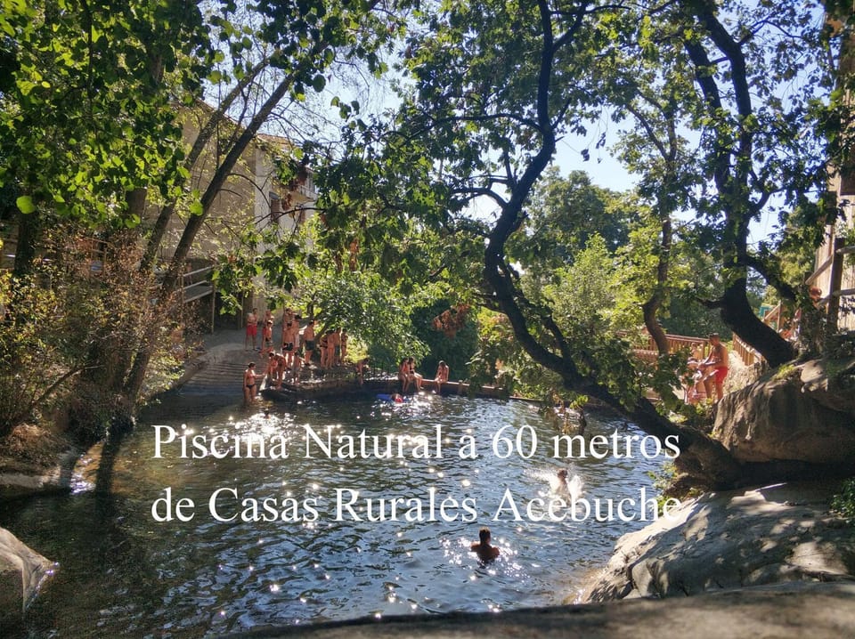 Natural landscape, Swimming pool, Swimming pool