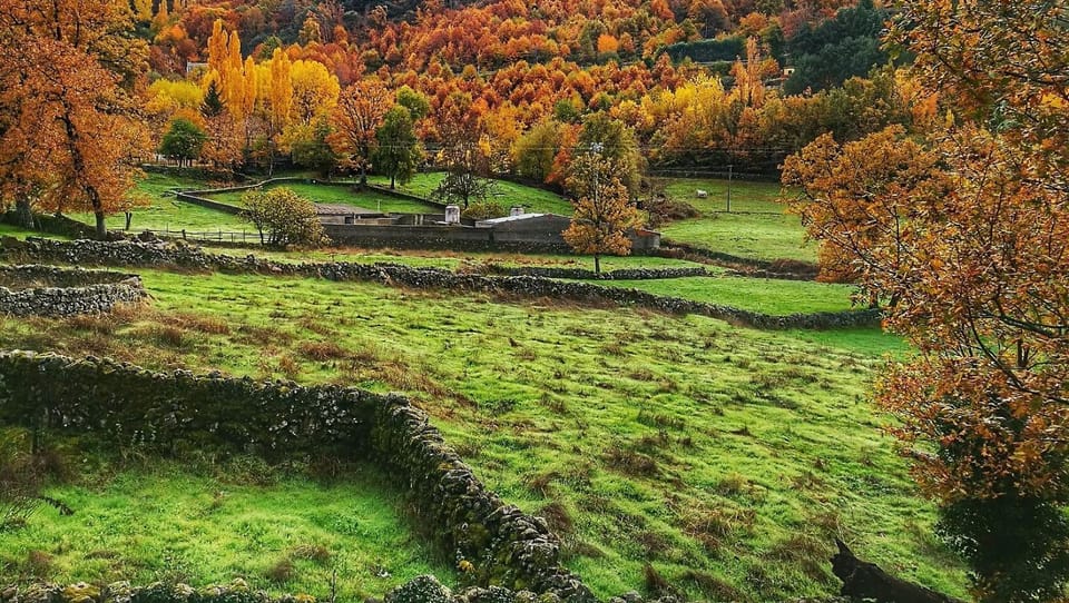 Natural landscape