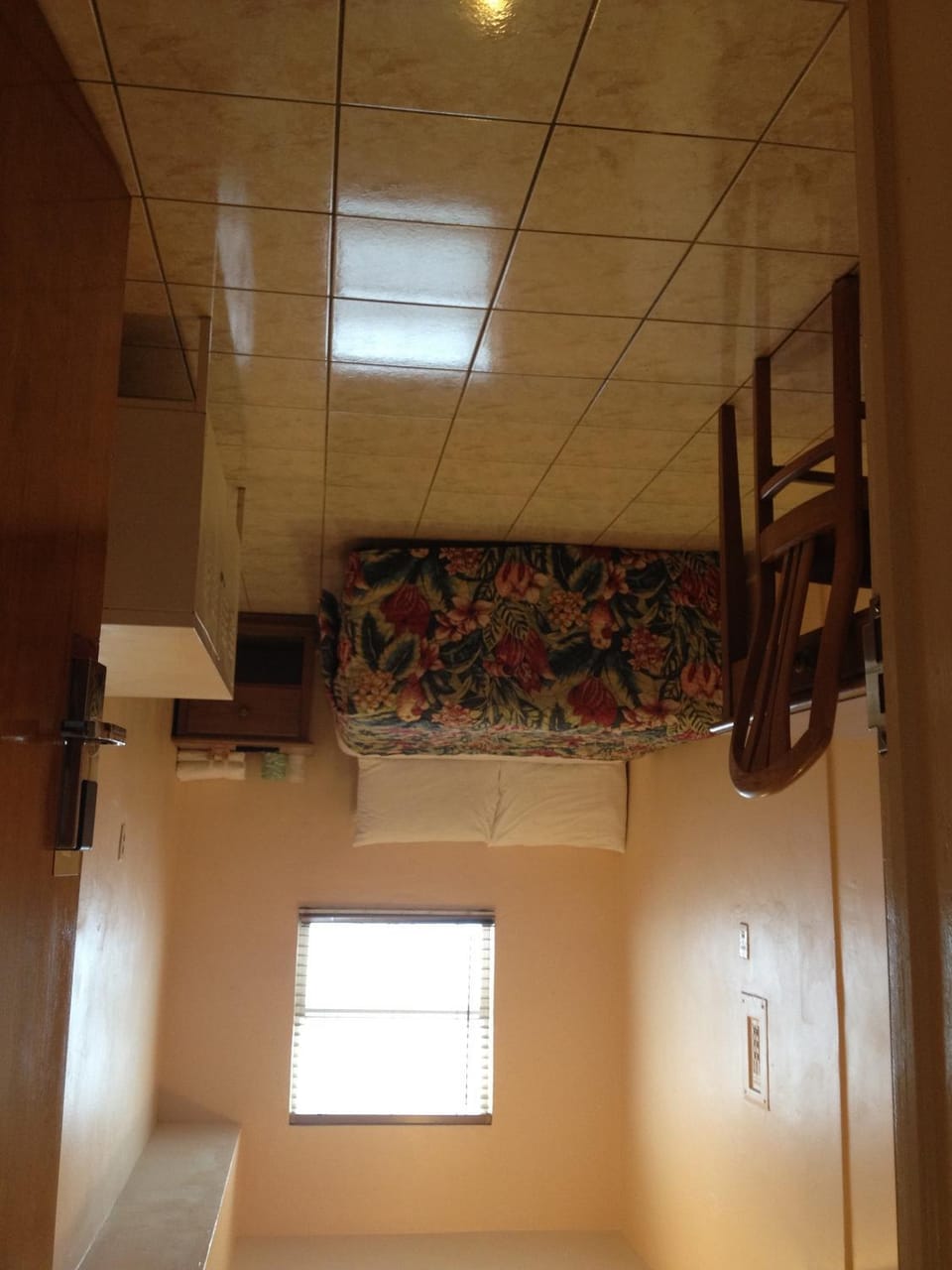 Day, Photo of the whole room