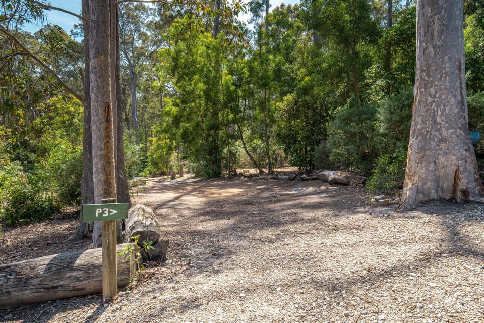 Natural landscape, Garden view