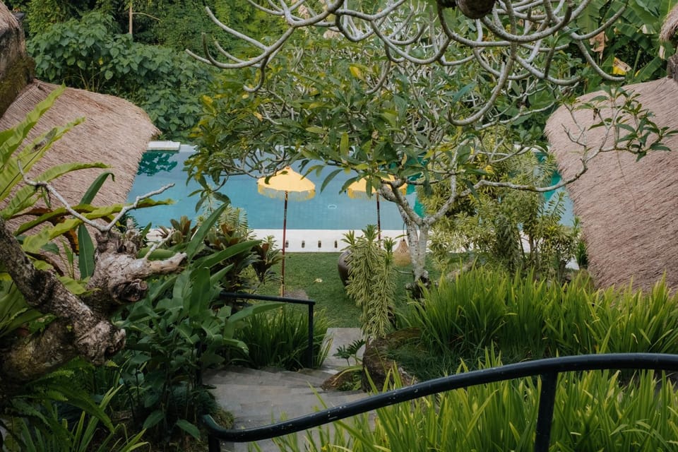 Pool view, Swimming pool