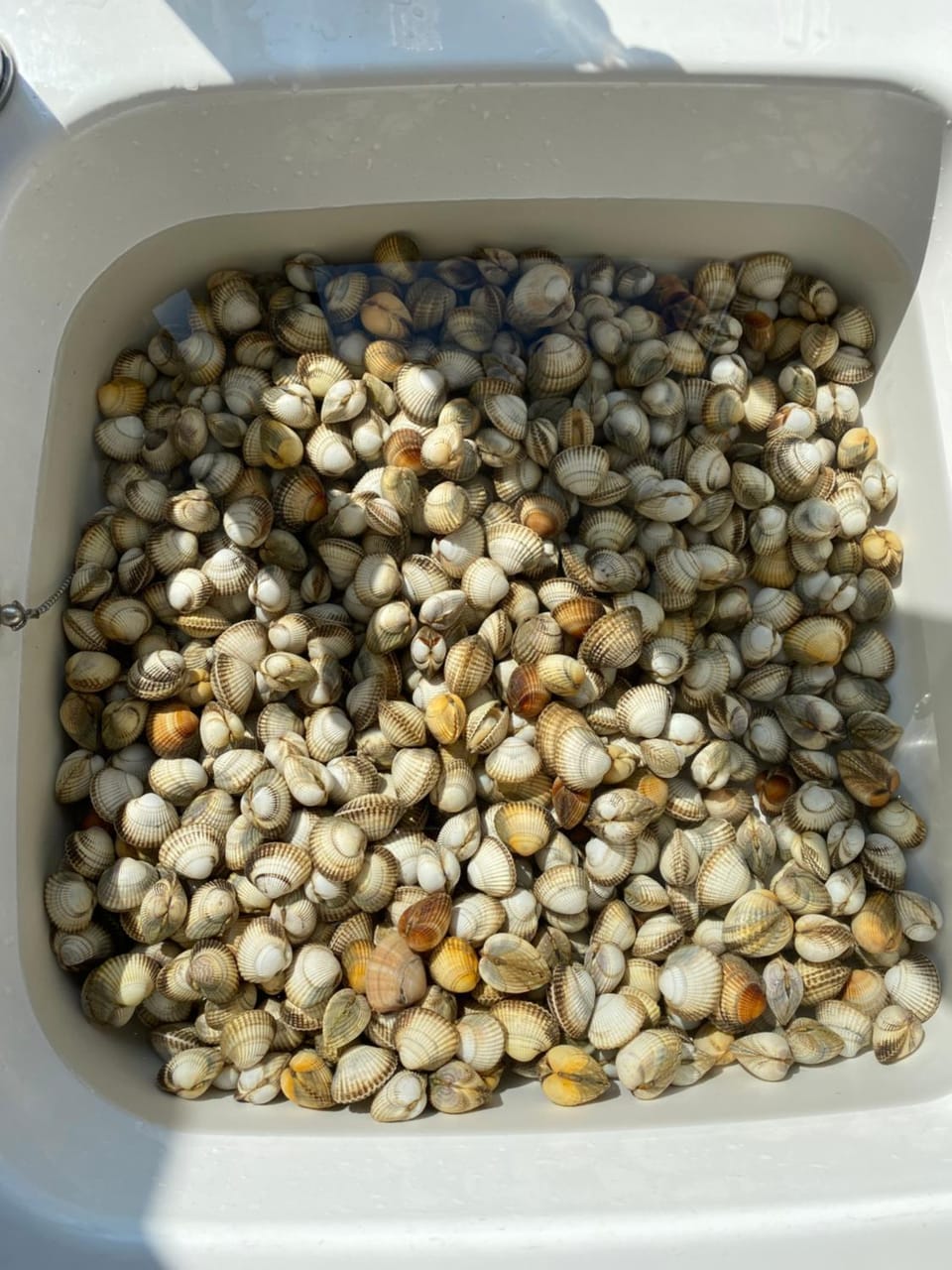 Belle villa la galinoche House in Cabourg