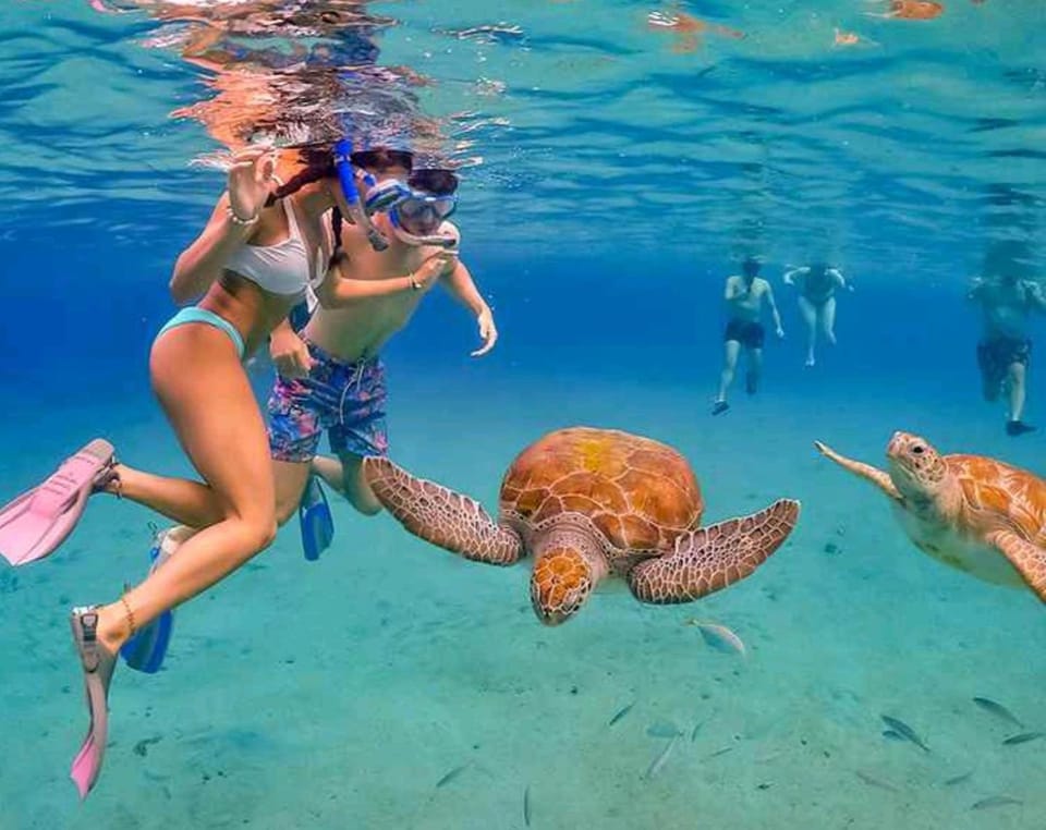 Natural landscape, Snorkeling, Diving