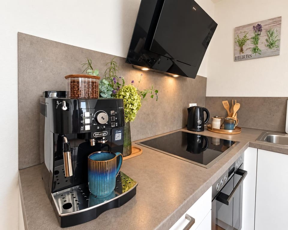 Kitchen or kitchenette, kitchen