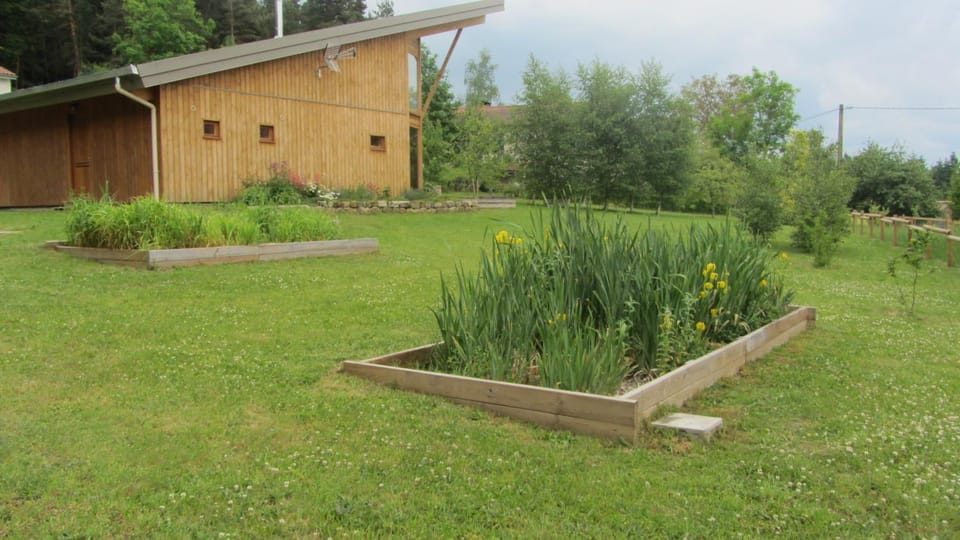 Area and facilities