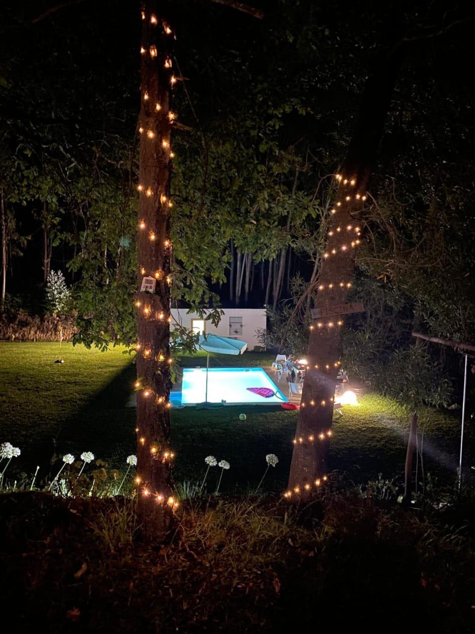 View (from property/room), Swimming pool