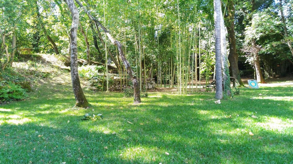 Natural landscape, Garden, Hiking