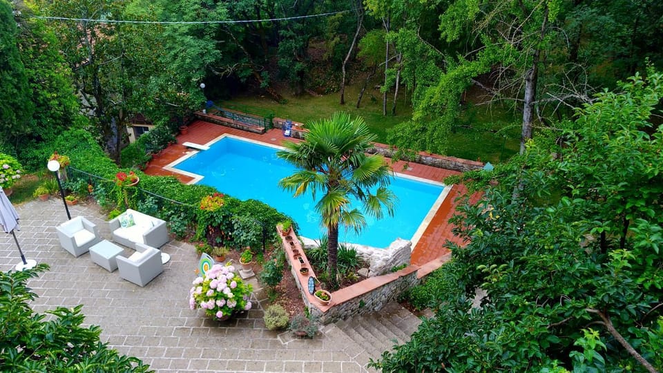 Bird's eye view, Pool view