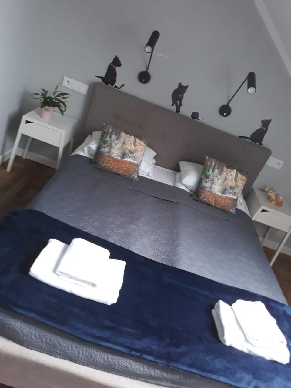 Apartamenty Koci Ogon Apartment in Greater Poland Voivodeship