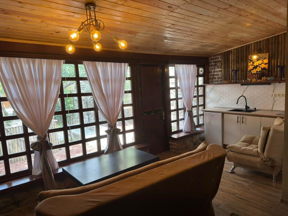 Kitchen or kitchenette, Living room, Seating area, Dining area