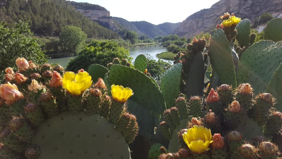 River view