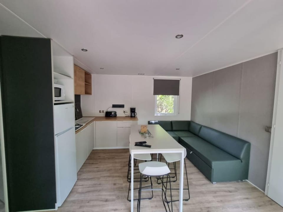Living room, kitchen