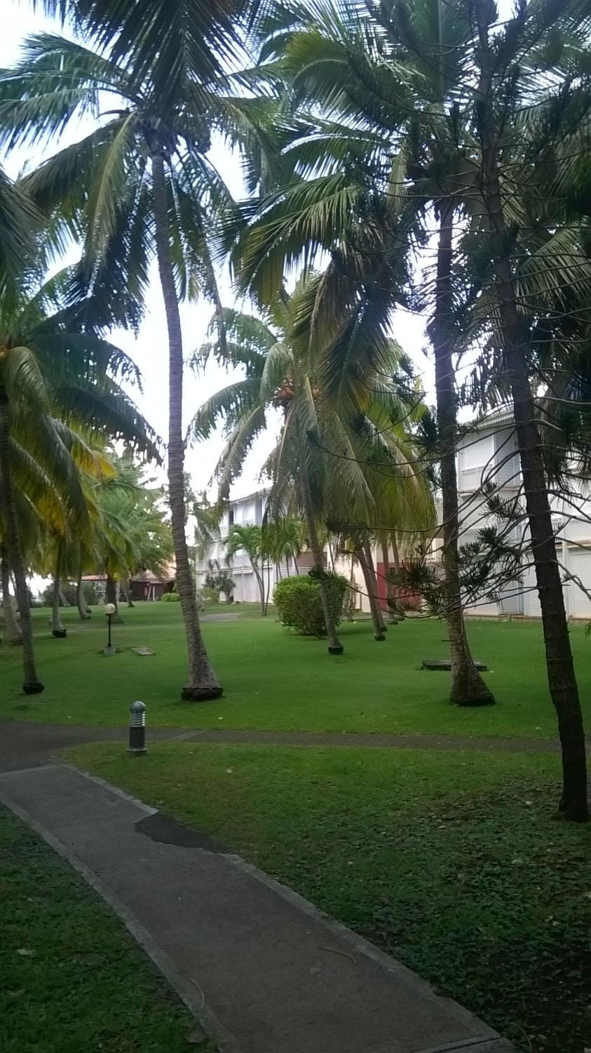 Natural landscape