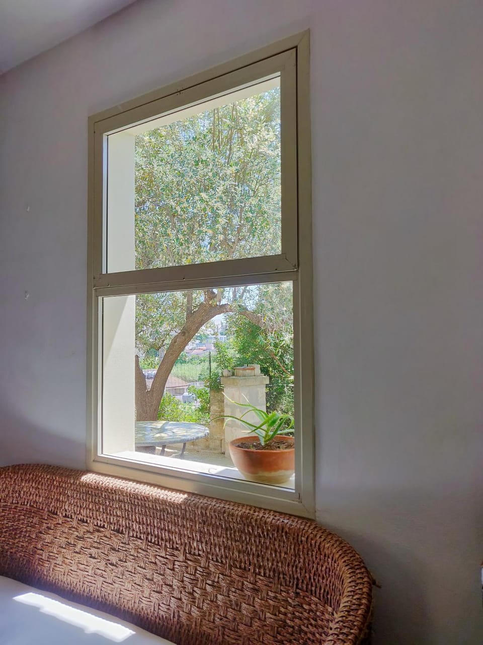 Garden view