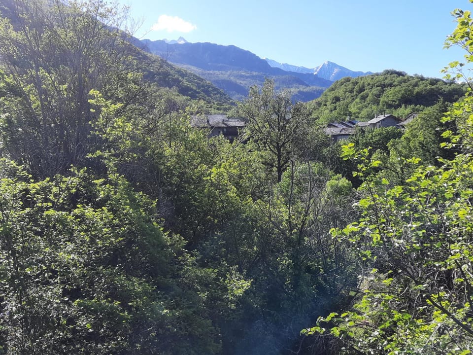 Spring, Natural landscape, View (from property/room), Hiking, Cycling, Animals, Landmark view, Mountain view, Sports, Sports, Entertainment, Family