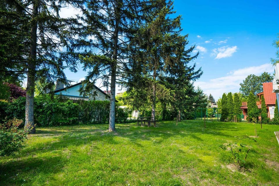 Summer, Garden