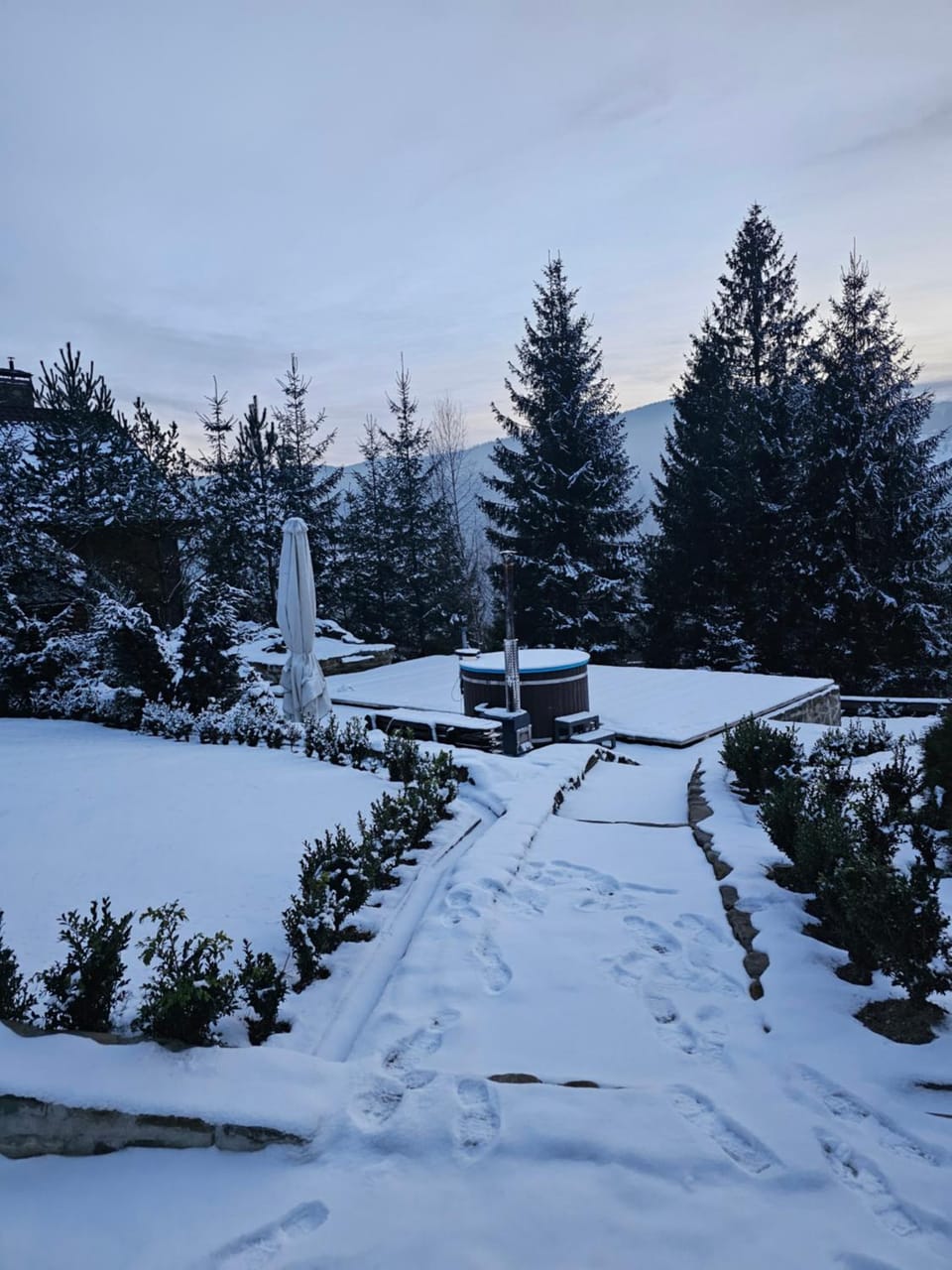 Natural landscape, Winter