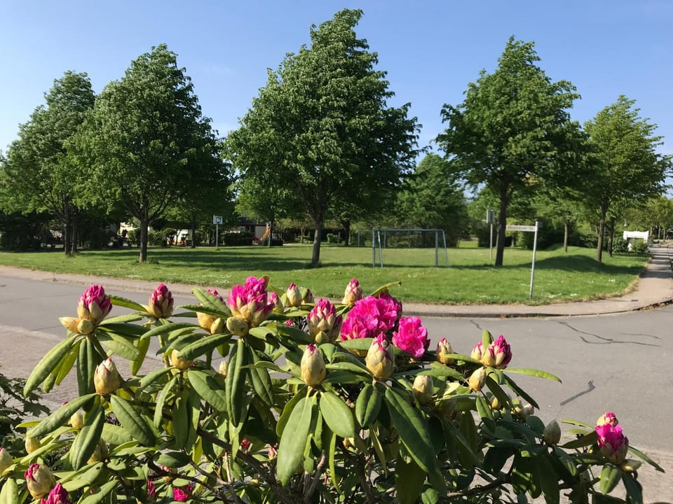 Schlei Idyll Apartment in Kappeln