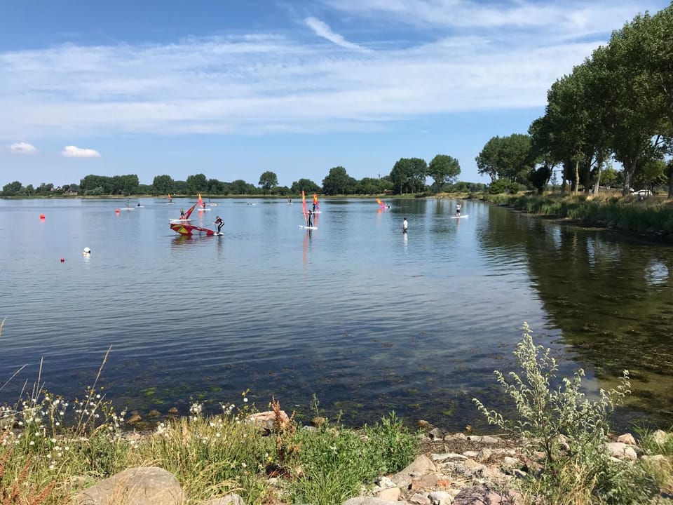Schlei Idyll Apartment in Kappeln