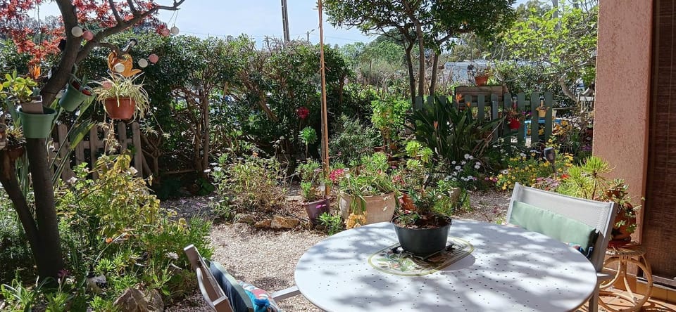 Garden view