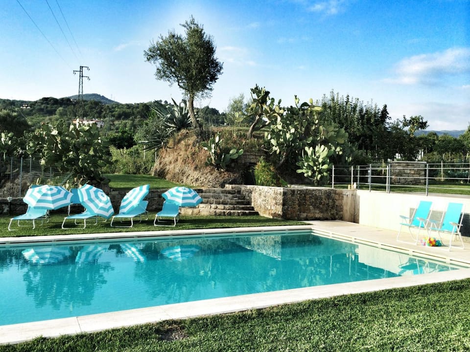 Solarium, Pool view, Swimming pool