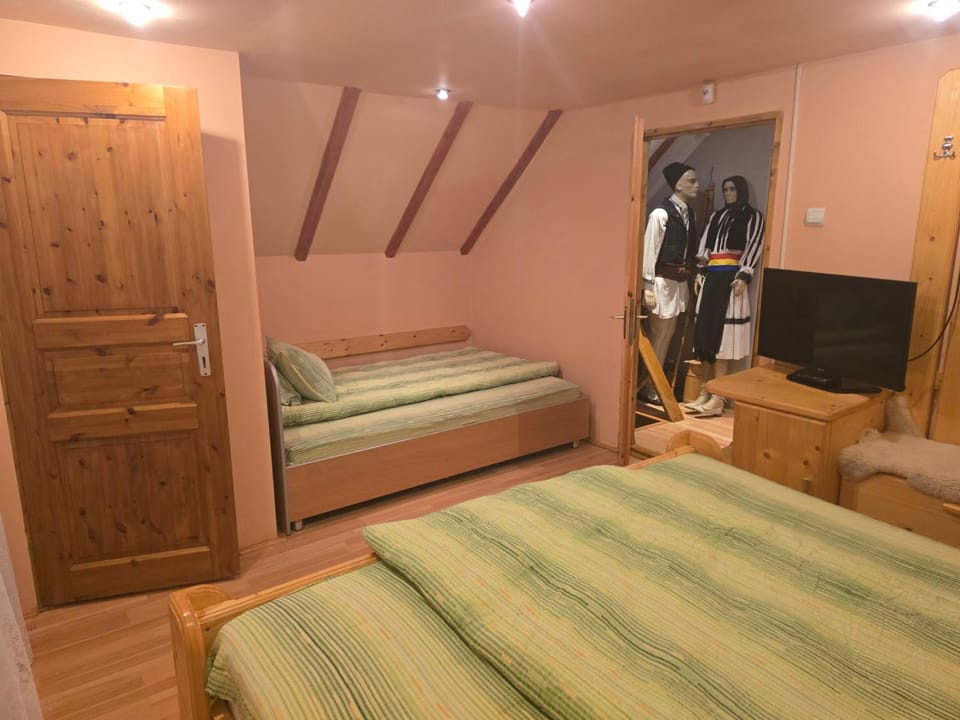Coliba de la Rapa House in Romania