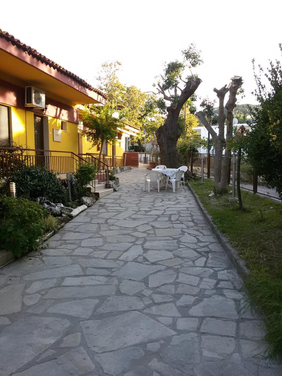 Winter, Garden, Autumn