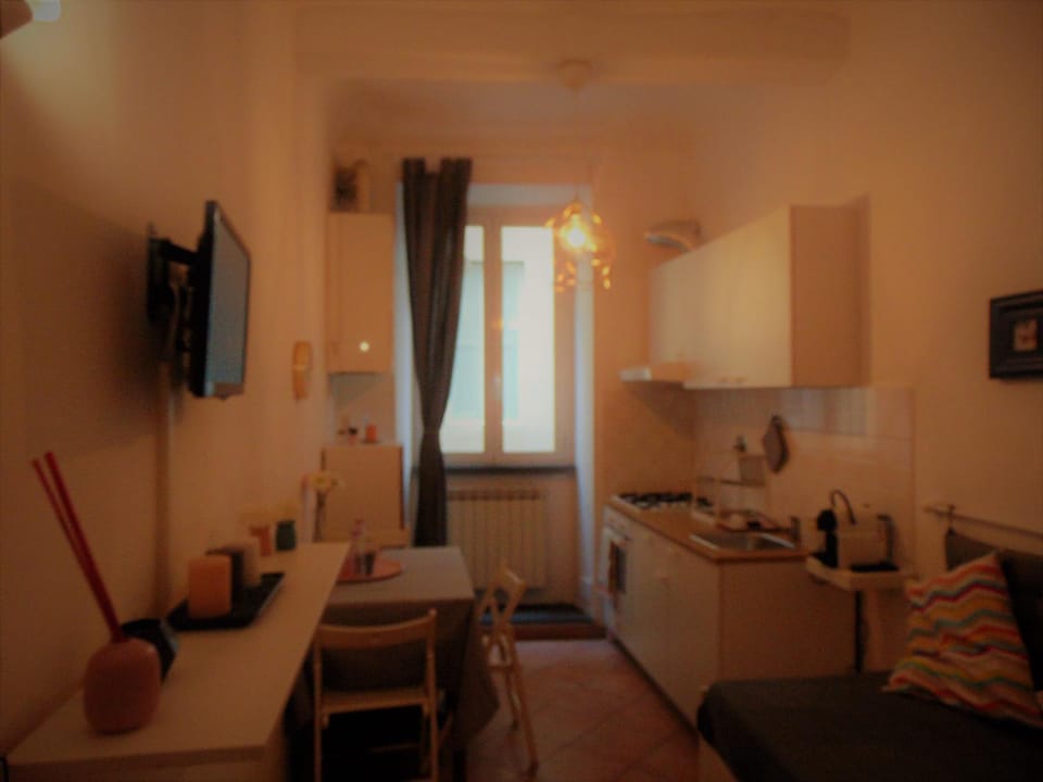 Kitchen or kitchenette, Living room, Other, Photo of the whole room, Decorative detail