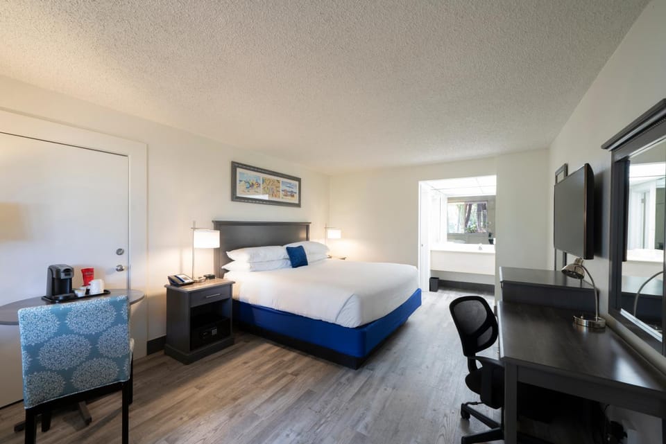 TV and multimedia, Photo of the whole room, Bedroom