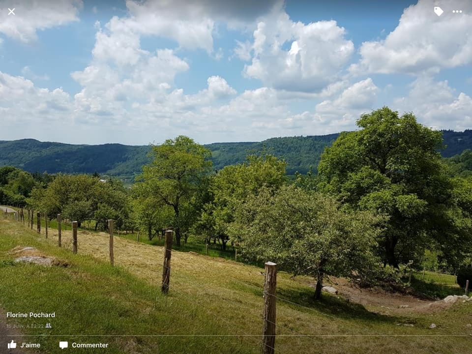 Neighbourhood, Natural landscape