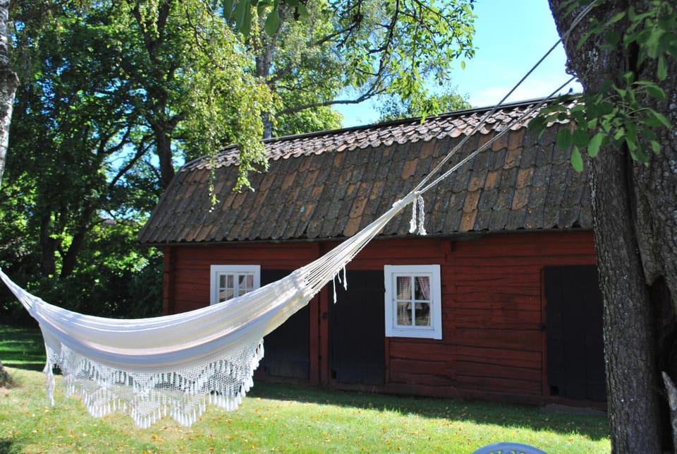 Patio, Garden, Garden