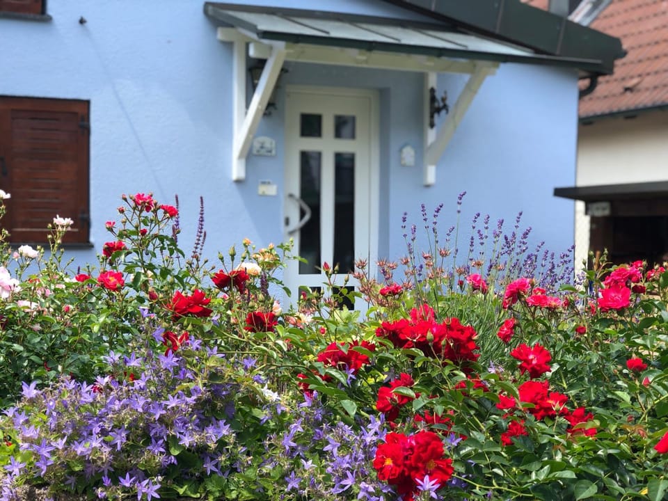 Facade/entrance, Garden