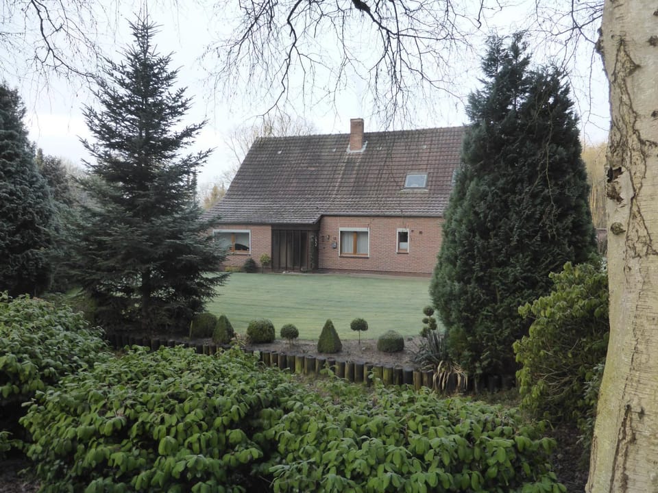 Property building, Winter