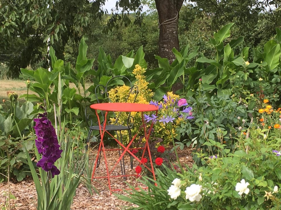 Nearby landmark, Natural landscape, Garden