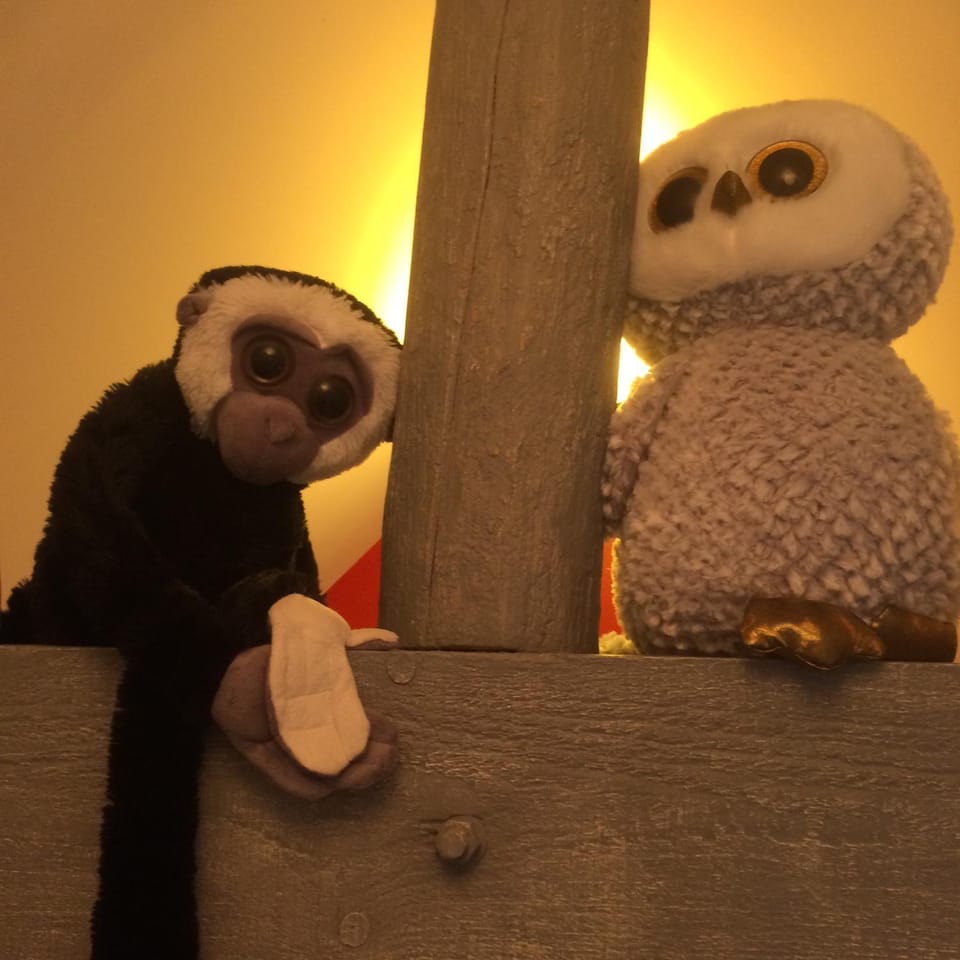 Le petit secret au pied du zoo House in Centre-Val de Loire