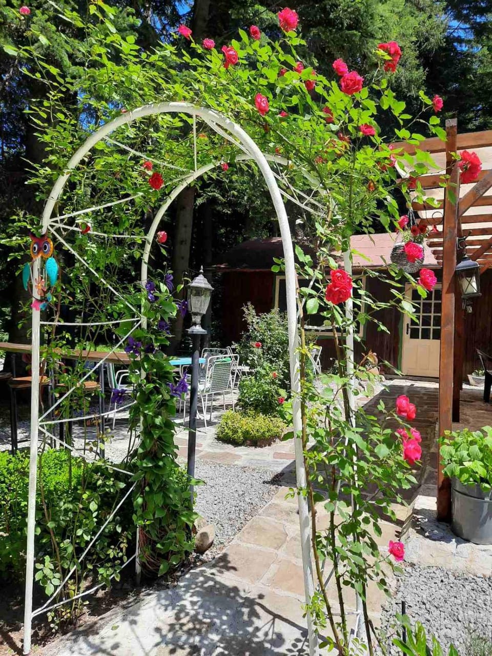 Garden view