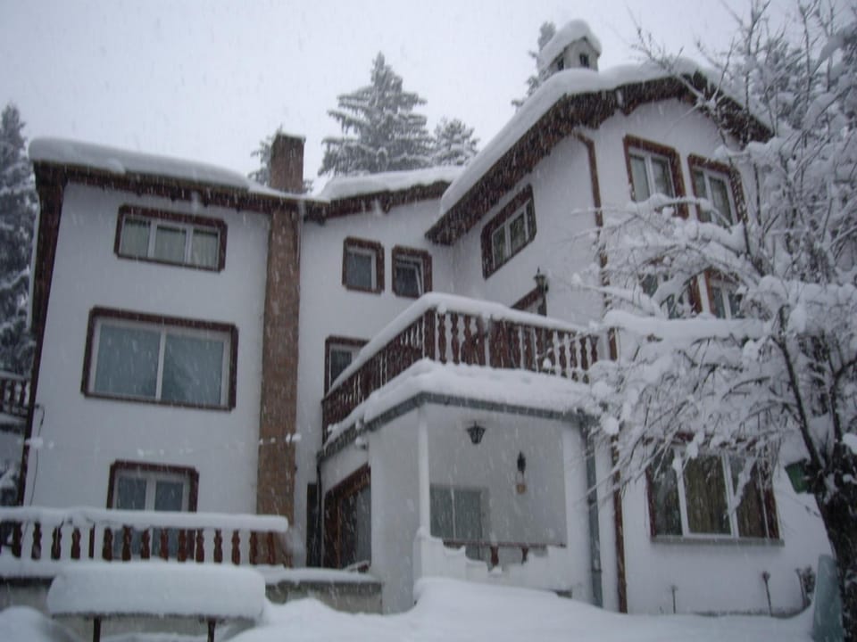 Property building, Winter