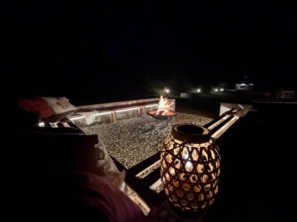 Night, People, Natural landscape, Garden, Garden view, group of guests